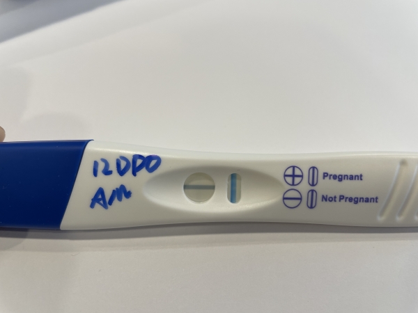 CVS One Step Pregnancy Test, 12 Days Post Ovulation, FMU, Cycle Day 28