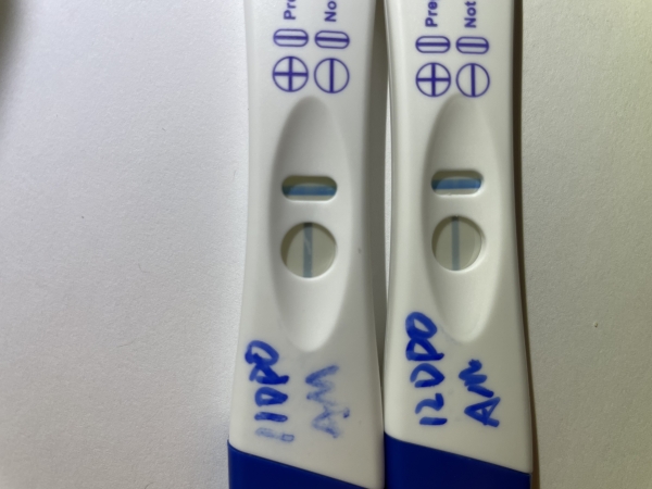 CVS One Step Pregnancy Test, 12 Days Post Ovulation, FMU, Cycle Day 29