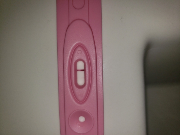 Home Pregnancy Test