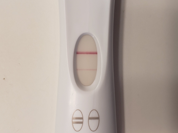 First Response Early Pregnancy Test