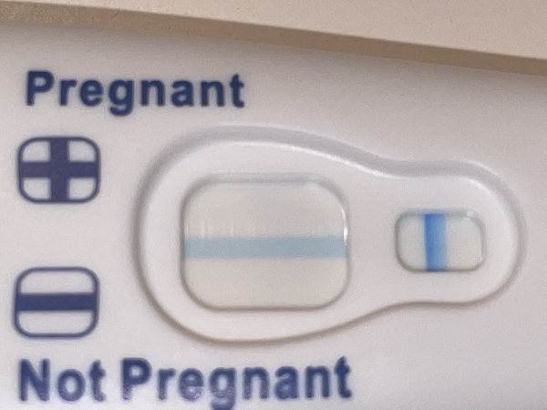 Clearblue Plus Pregnancy Test