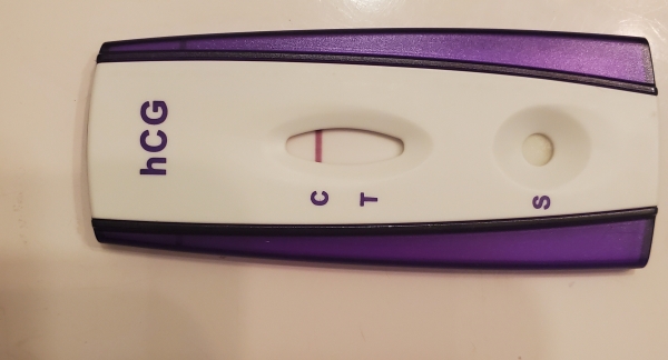 Home Pregnancy Test