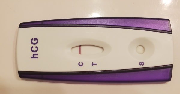 Home Pregnancy Test