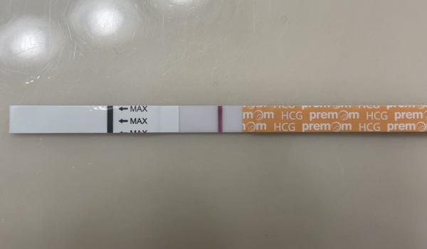 Easy-At-Home Pregnancy Test, 8 Days Post Ovulation, FMU, Cycle Day 27