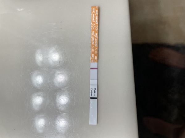 Easy-At-Home Pregnancy Test, 9 Days Post Ovulation, FMU, Cycle Day 28