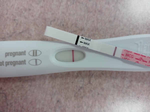 Home Pregnancy Test