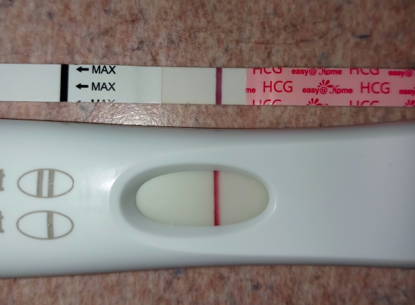 Home Pregnancy Test