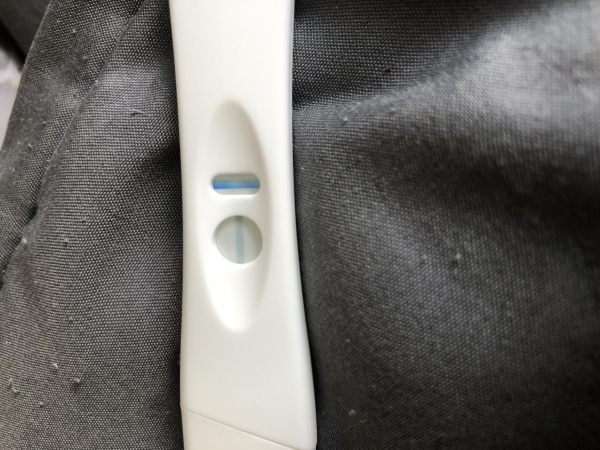 Accu-Clear Pregnancy Test, 20 Days Post Ovulation, FMU