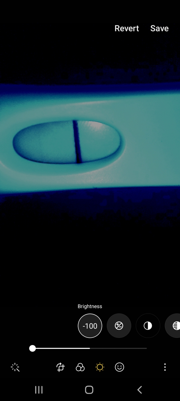 Home Pregnancy Test