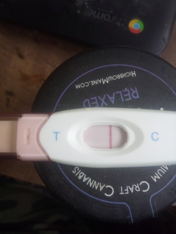 Generic Pregnancy Test, 9 Days Post Ovulation