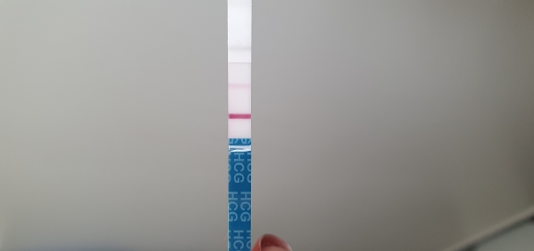Home Pregnancy Test, 11 Days Post Ovulation, Cycle Day 26