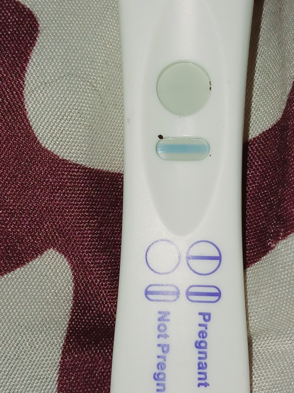 CVS Early Result Pregnancy Test, 10 Days Post Ovulation, Cycle Day 25