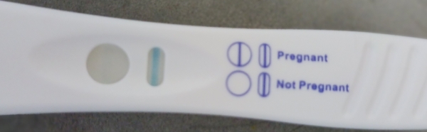 Home Pregnancy Test