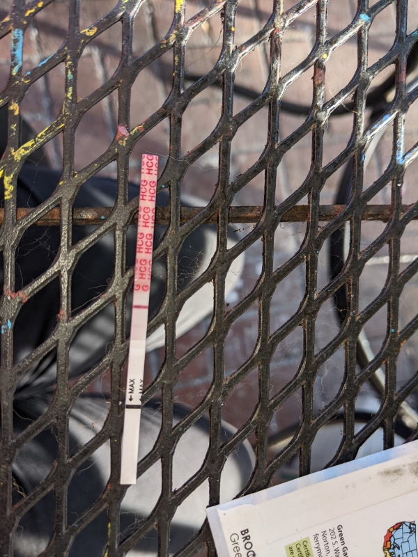 Wondfo Test Strips Pregnancy Test, 14 Days Post Ovulation
