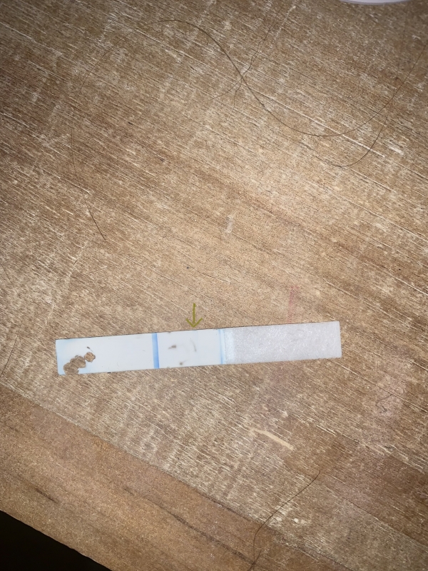 Home Pregnancy Test, Cycle Day 31