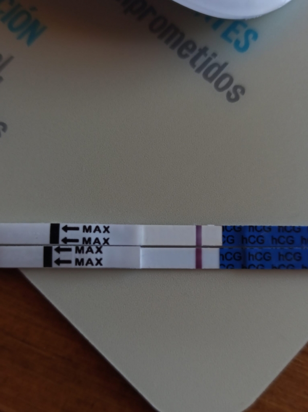 Home Pregnancy Test