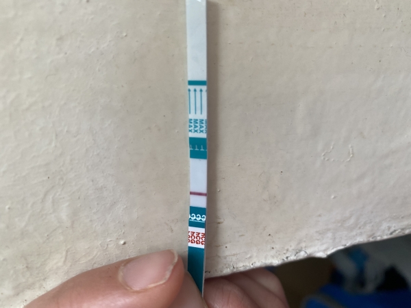 Home Pregnancy Test, 12 Days Post Ovulation