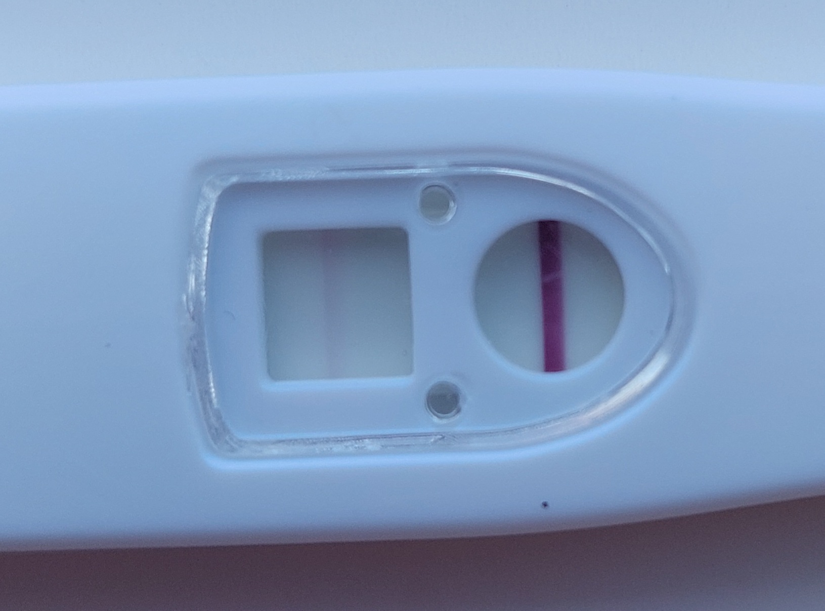 Home Pregnancy Test