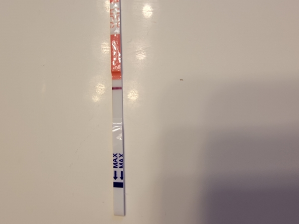 AccuMed Pregnancy Test, 8 Days Post Ovulation