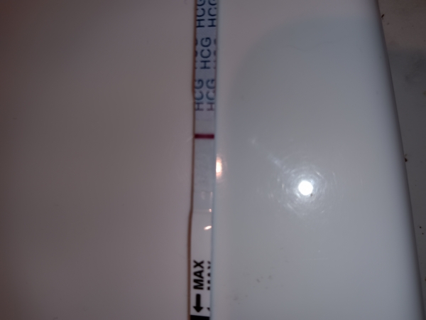 MomMed Pregnancy Test, 21 Days Post Ovulation, Cycle Day 38