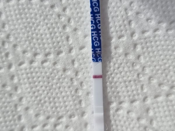 Home Pregnancy Test, 8 Days Post Ovulation, FMU