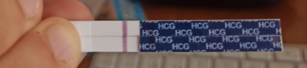 Home Pregnancy Test