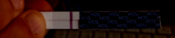 Home Pregnancy Test
