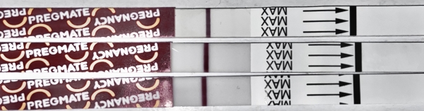 Pregmate Pregnancy Test