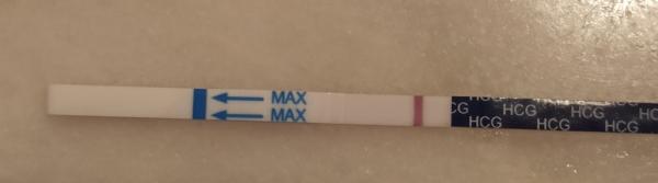 Home Pregnancy Test