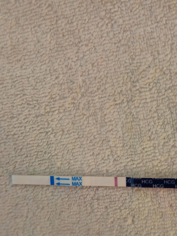Home Pregnancy Test