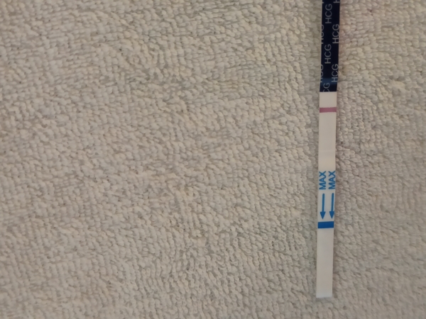 Home Pregnancy Test