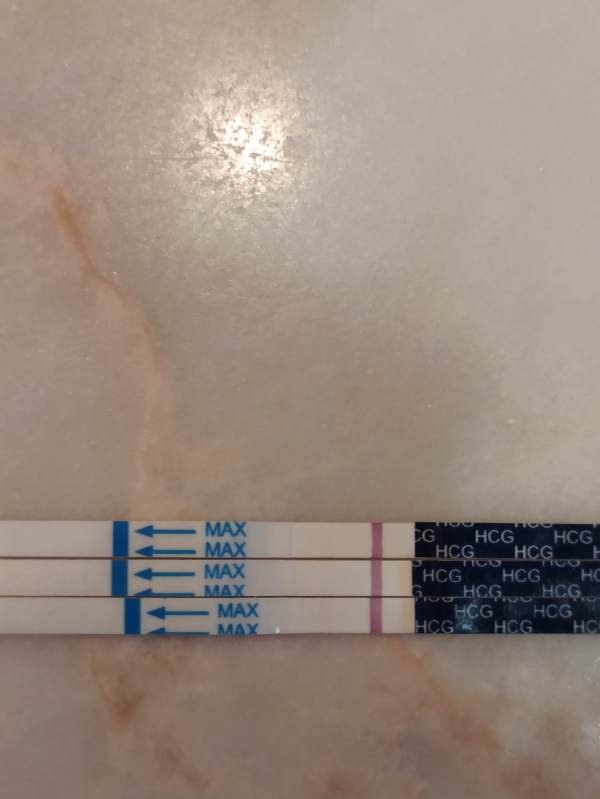 Home Pregnancy Test