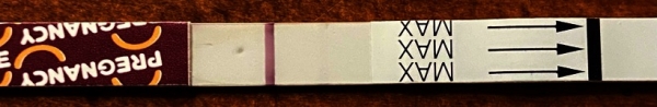 Pregmate Pregnancy Test