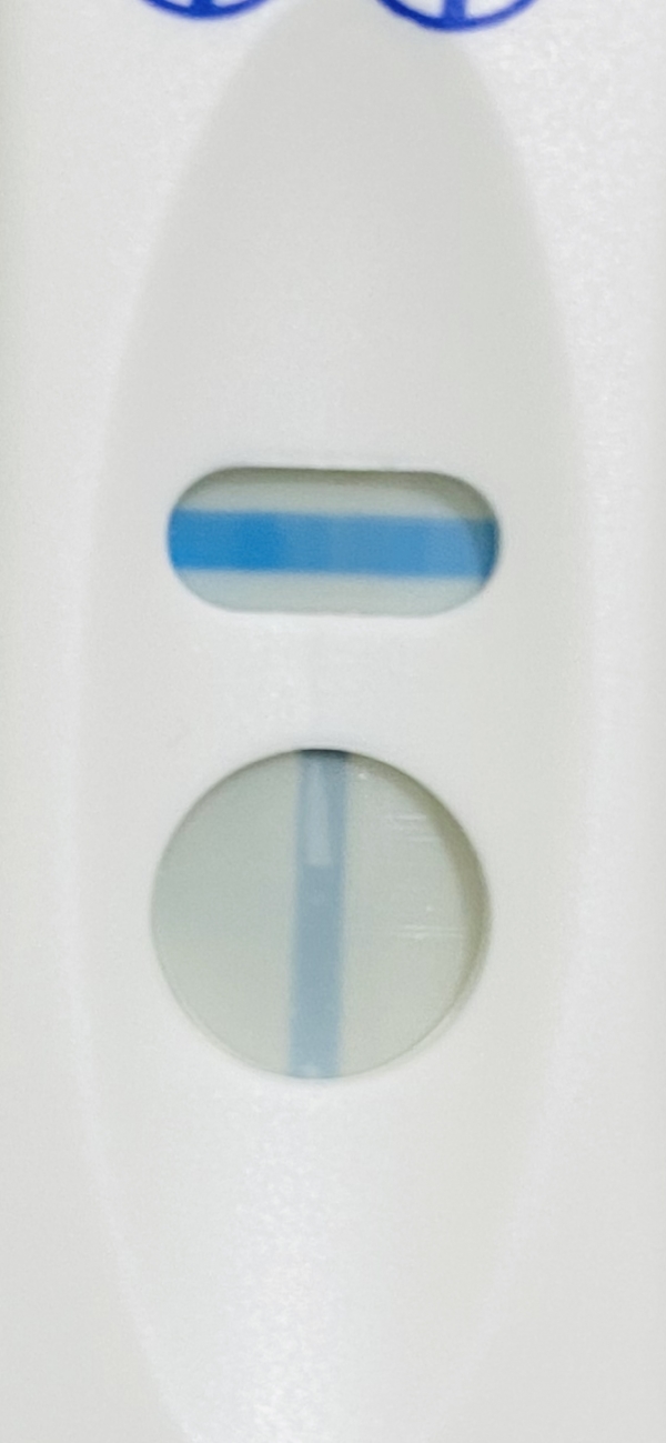 CVS One Step Pregnancy Test