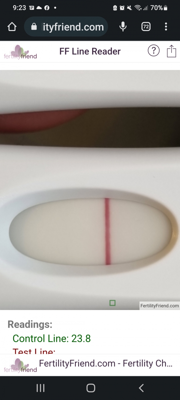 Home Pregnancy Test