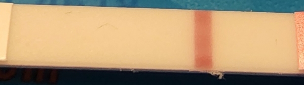 Home Pregnancy Test, FMU, Cycle Day 33