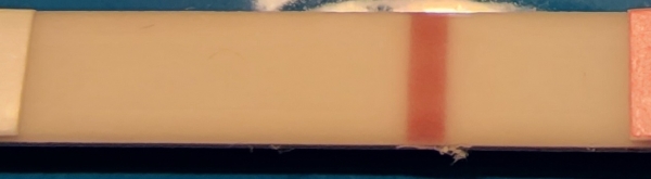 Home Pregnancy Test, FMU, Cycle Day 33