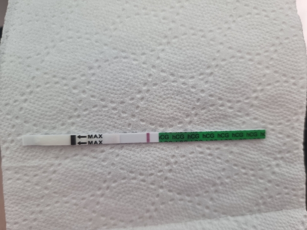 Home Pregnancy Test, 12 Days Post Ovulation