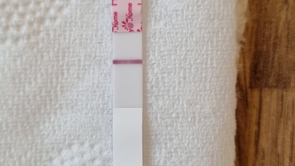 Home Pregnancy Test