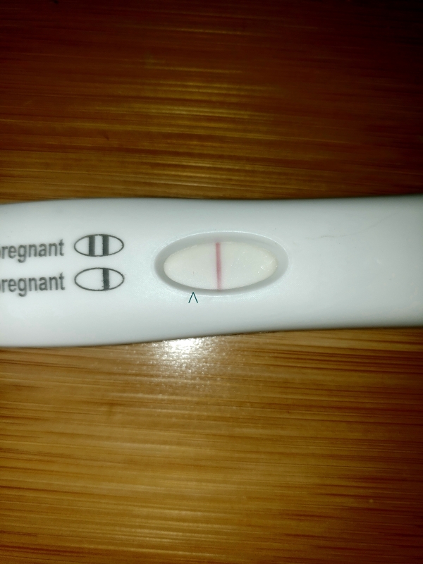 Home Pregnancy Test