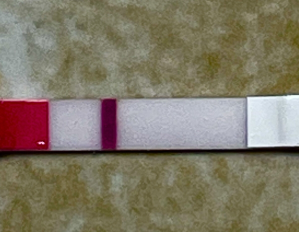 Clinical Guard Pregnancy Test, 10 Days Post Ovulation, FMU, Cycle Day 24