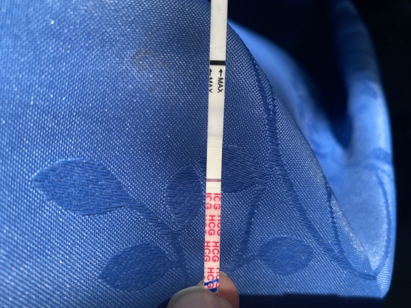 Wondfo Test Strips Pregnancy Test, 11 Days Post Ovulation, FMU