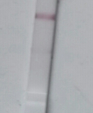 Generic Pregnancy Test, 10 Days Post Ovulation