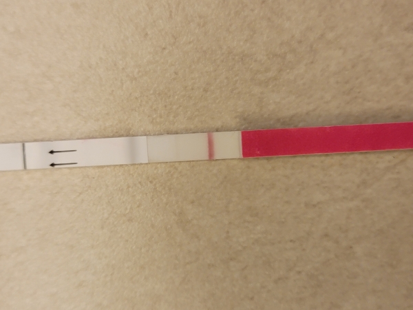 Generic Pregnancy Test, Cycle Day 28