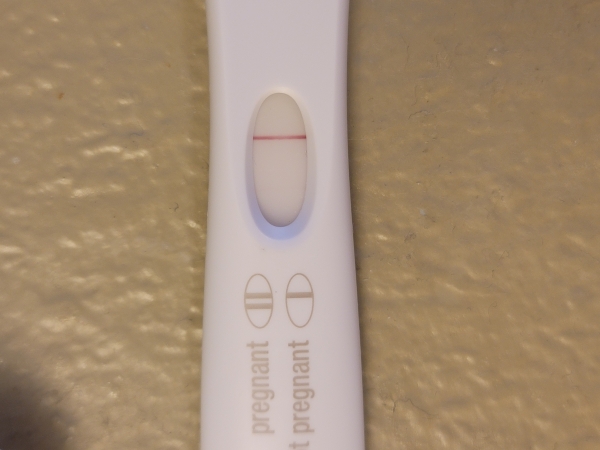 Home Pregnancy Test