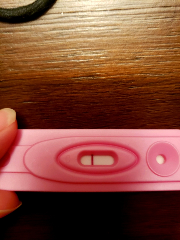 Home Pregnancy Test