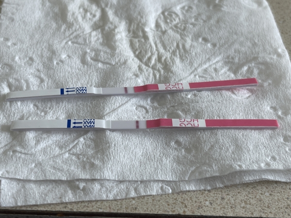 Clinical Guard Pregnancy Test, 8 Days Post Ovulation, Cycle Day 40