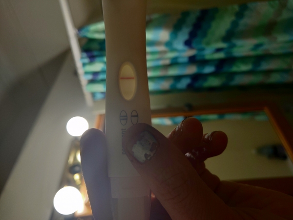 Home Pregnancy Test