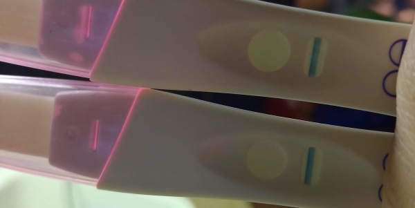 Home Pregnancy Test