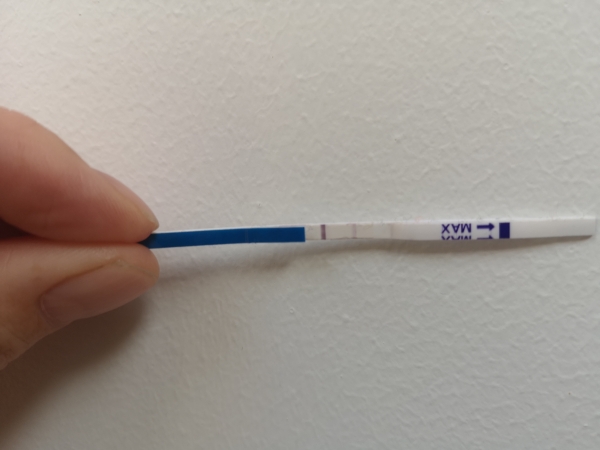 Babi One Step Pregnancy Test, Cycle Day 27